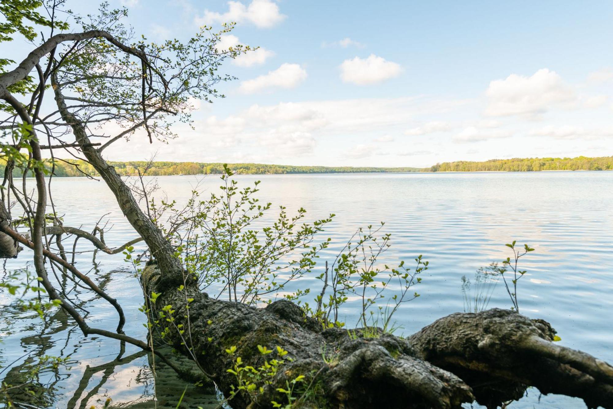 Budget Seezeit-Resort Am Werbellinsee Altenhof エクステリア 写真